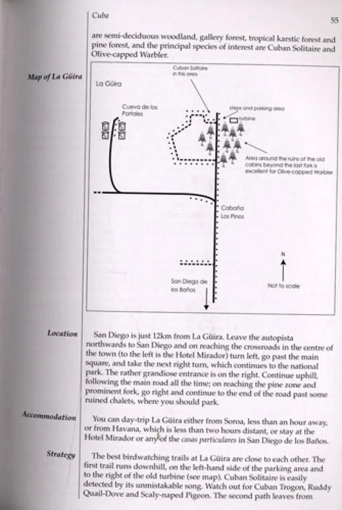 Birdwatchers' Guide to Cuba, Jamaica, Hispaniola, Puerto Rico and Caymans -  Guy Kirwan 2010 ,